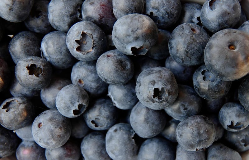 Wild Berries